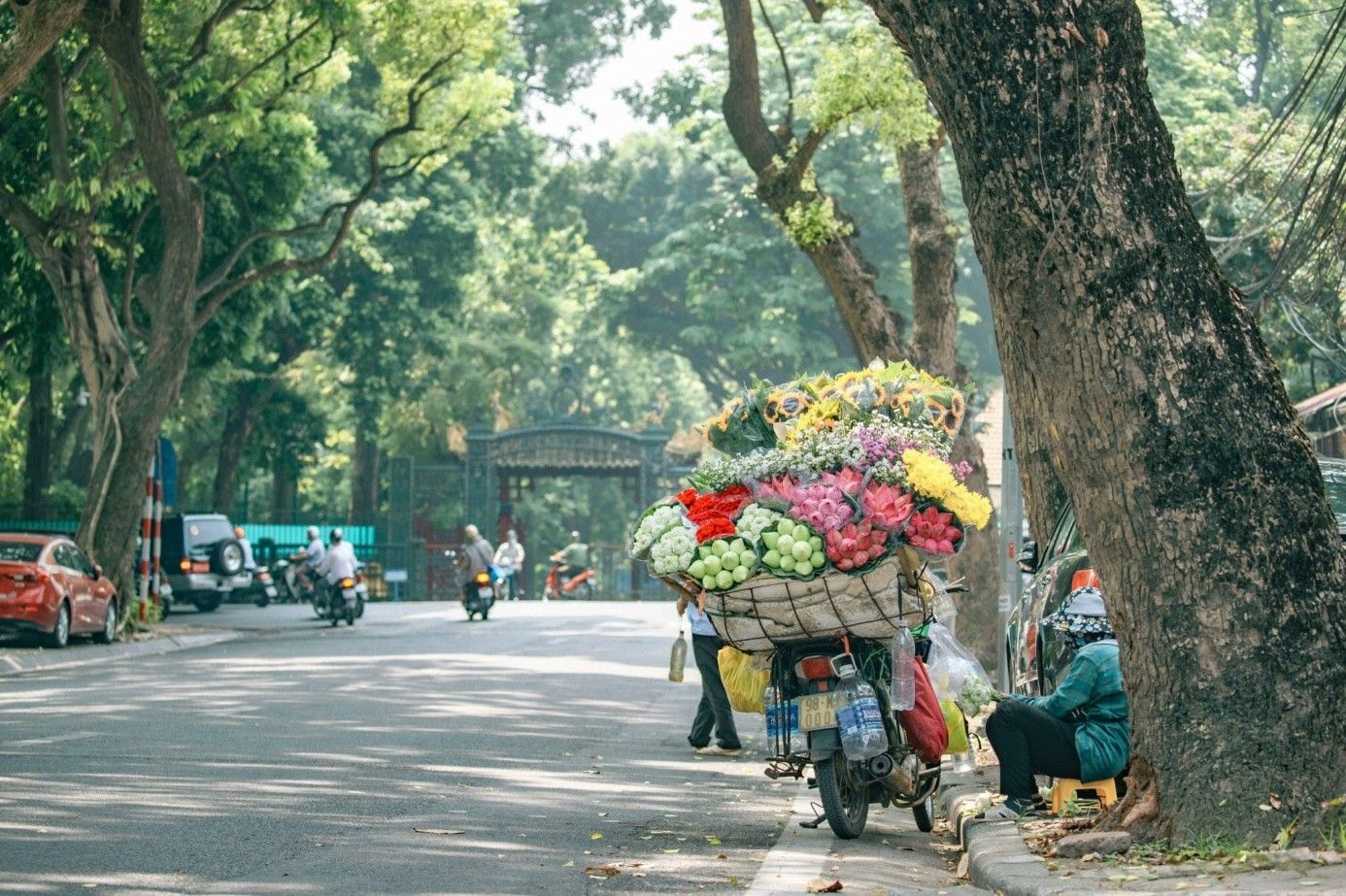 Thu Hà Nội: Dịu dàng đến nao lòng!