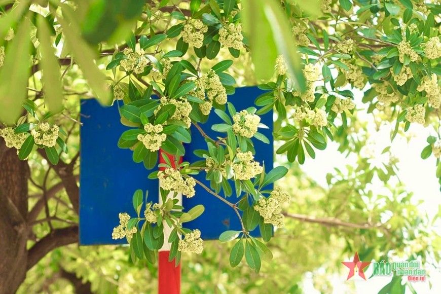 Thu Hà Nội: Dịu dàng đến nao lòng!