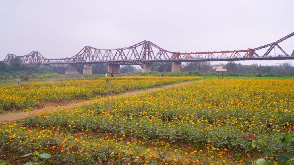 Cầu Long Biên: Chứng nhân lịch sử và vẻ đẹp thép vượt thời gian
